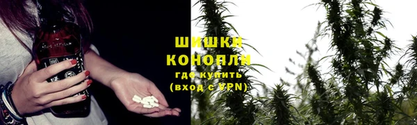 прущие крисы Алексин