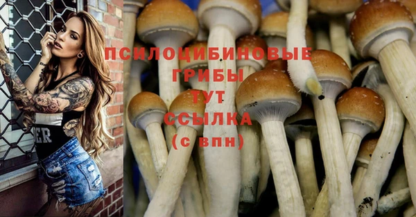 прущие крисы Алексин