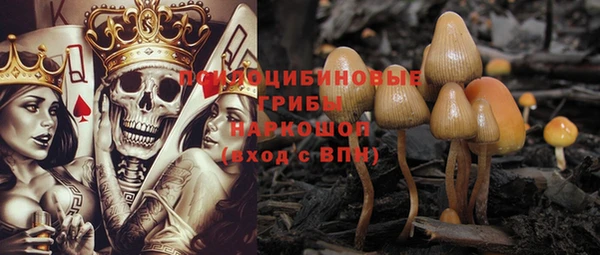 стафф Алзамай